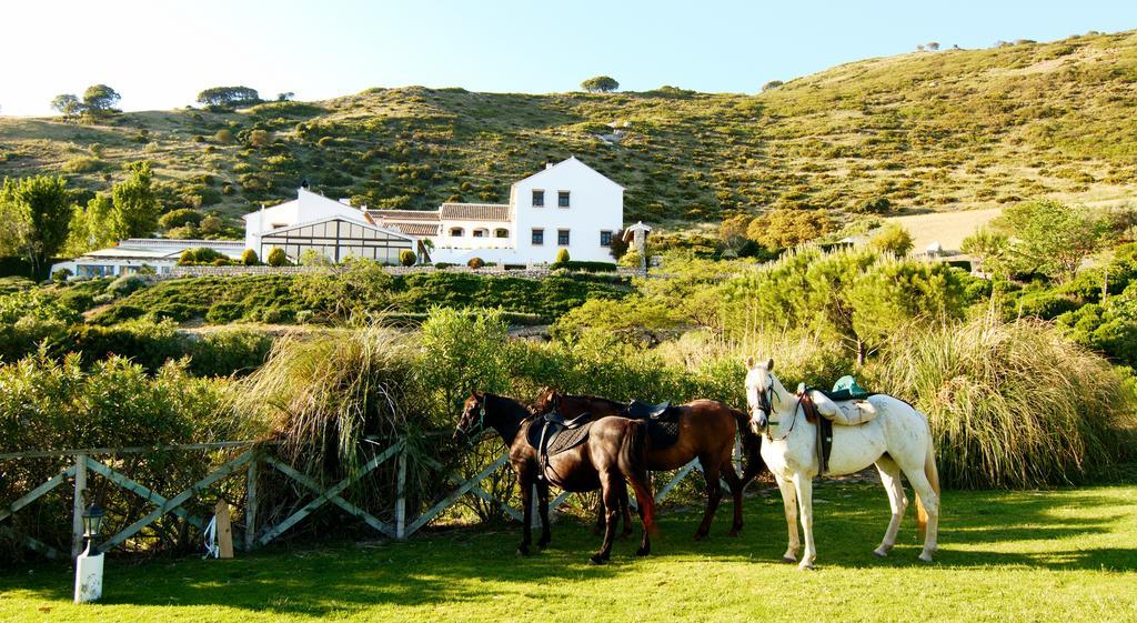 Hotel Fuente Del Sol 안테케라 외부 사진